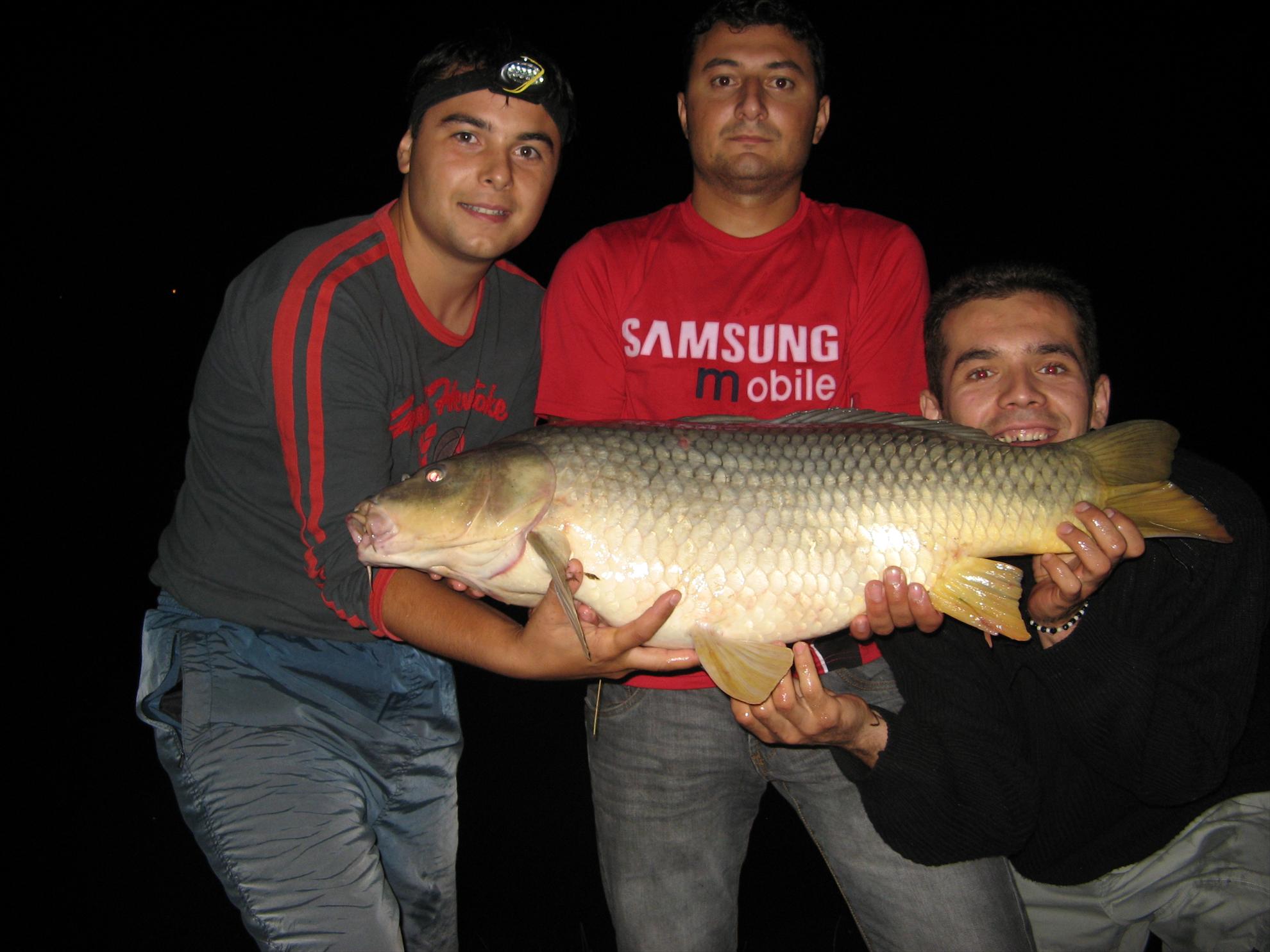 Moara Vlasiei - img5984.JPG